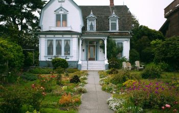 Flower Bed Ideas